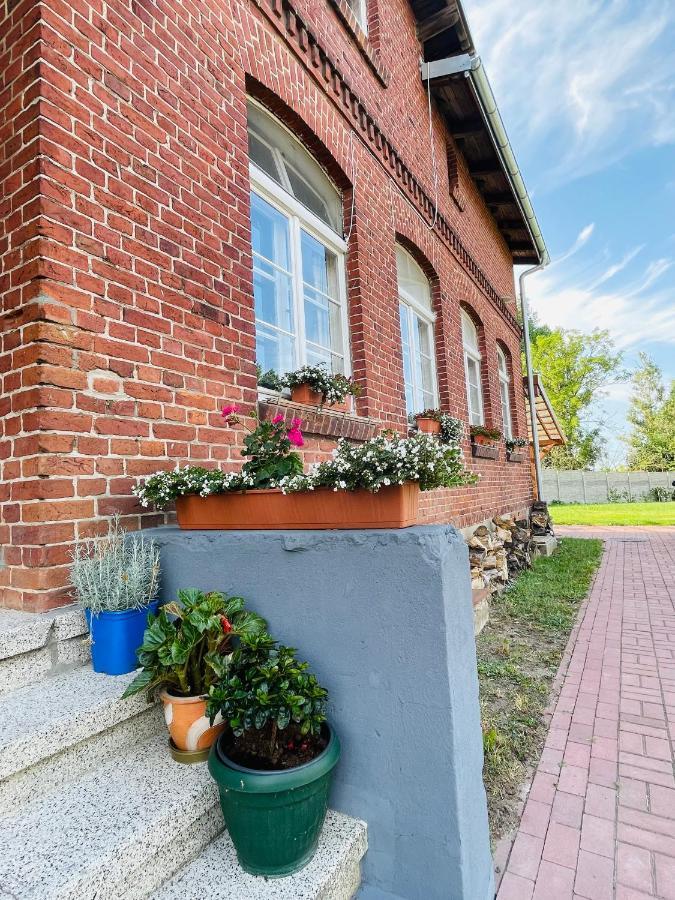 Apartment Cegielka *